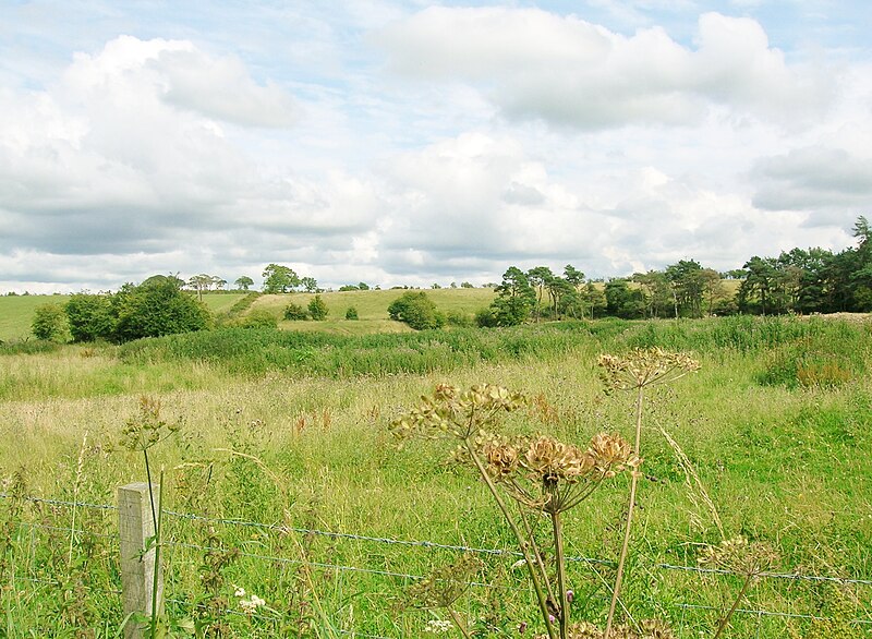 File:Lochridge Quarry, Byrehill, Stewarton.JPG