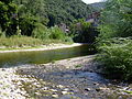 Confluence de la Soulondre, en bas et de la Lergue coulant de gauche à droite.