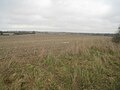 Thumbnail for File:Looking across Forty Acres field (40.5 acres) - geograph.org.uk - 3289809.jpg