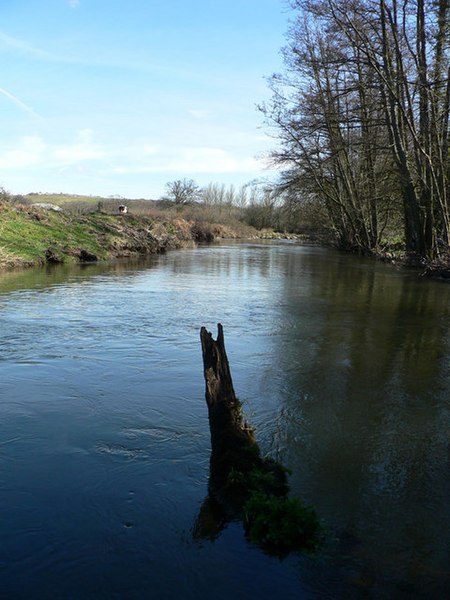File:Looking south along the River Teign - geograph.org.uk - 729691.jpg