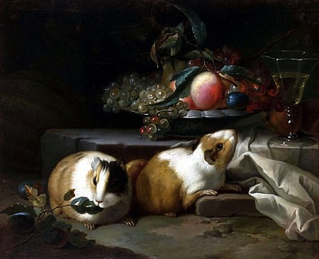 Tập_tin:Lubieniecki_Still_life_with_guinea_pigs.jpg