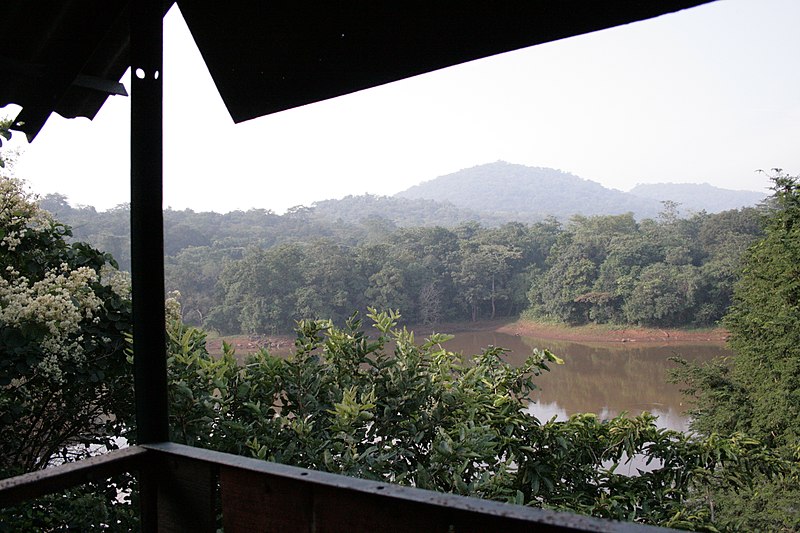 File:Majhali Talab from forest watch tower - panoramio.jpg