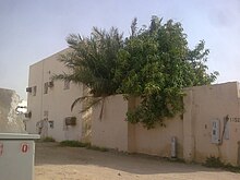 A mango tree in Jeddah Mango Tree - panoramio.jpg