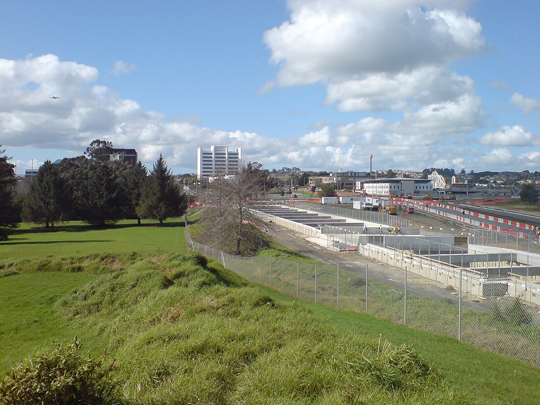 Manukau