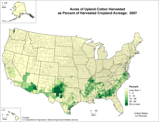 <span class="mw-page-title-main">Cotton production in the United States</span>