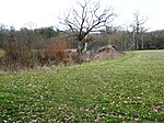 Marden Meadows