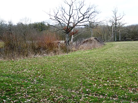 Marden Meadow 4