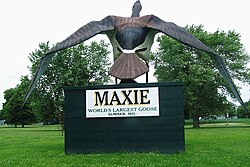 Maxie the goose 1.jpg