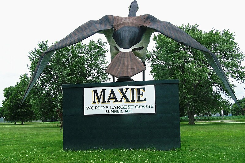 File:Maxie the goose 1.jpg