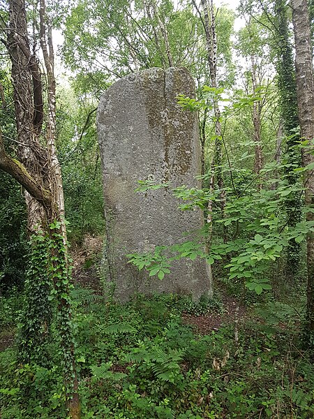 File:Menhir lannarpeulven A.jpg