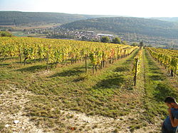 Skyline of Meuilley