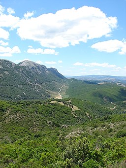 Monte albo lula sardegna 67b9dc5361 o.jpg