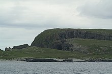 Muckle Head