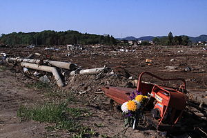 Miyagi Yamamoto: Geschichte, Geographie, Erdbeben- und Tsunamikatastrophen