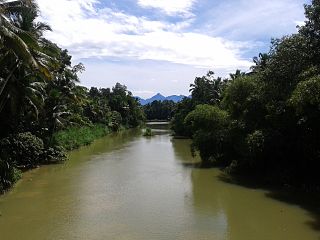 <span class="mw-page-title-main">Neyyar (river)</span> River in Kerala, India