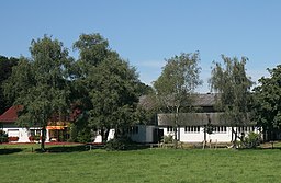 Heide in Nachrodt-Wiblingwerde