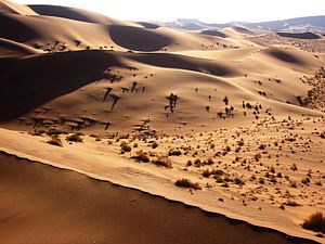 Namibørkenen.