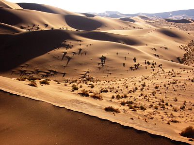 Пустыне лет. Пустыня Гоби Намибия. Namib Desert, Namibia. Гоби в Африке. Алжир Сирокко.