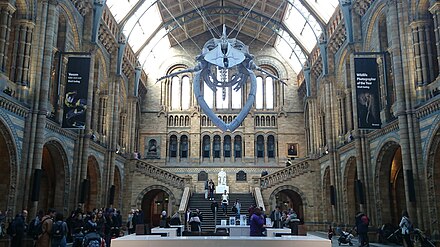 Natural History Museum, Hintze Hall