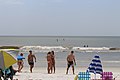 Neptune Beach paddle boarders