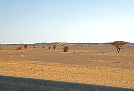 Nubian desert (2) (33791507604).jpg