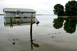 Oakville flooding.jpg