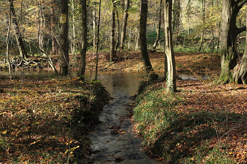 File:Odenthal - Naturschutzgebiet Dhünnaue - Dhünn+Unterer Bülsberger Siefen 01 ies.jpg