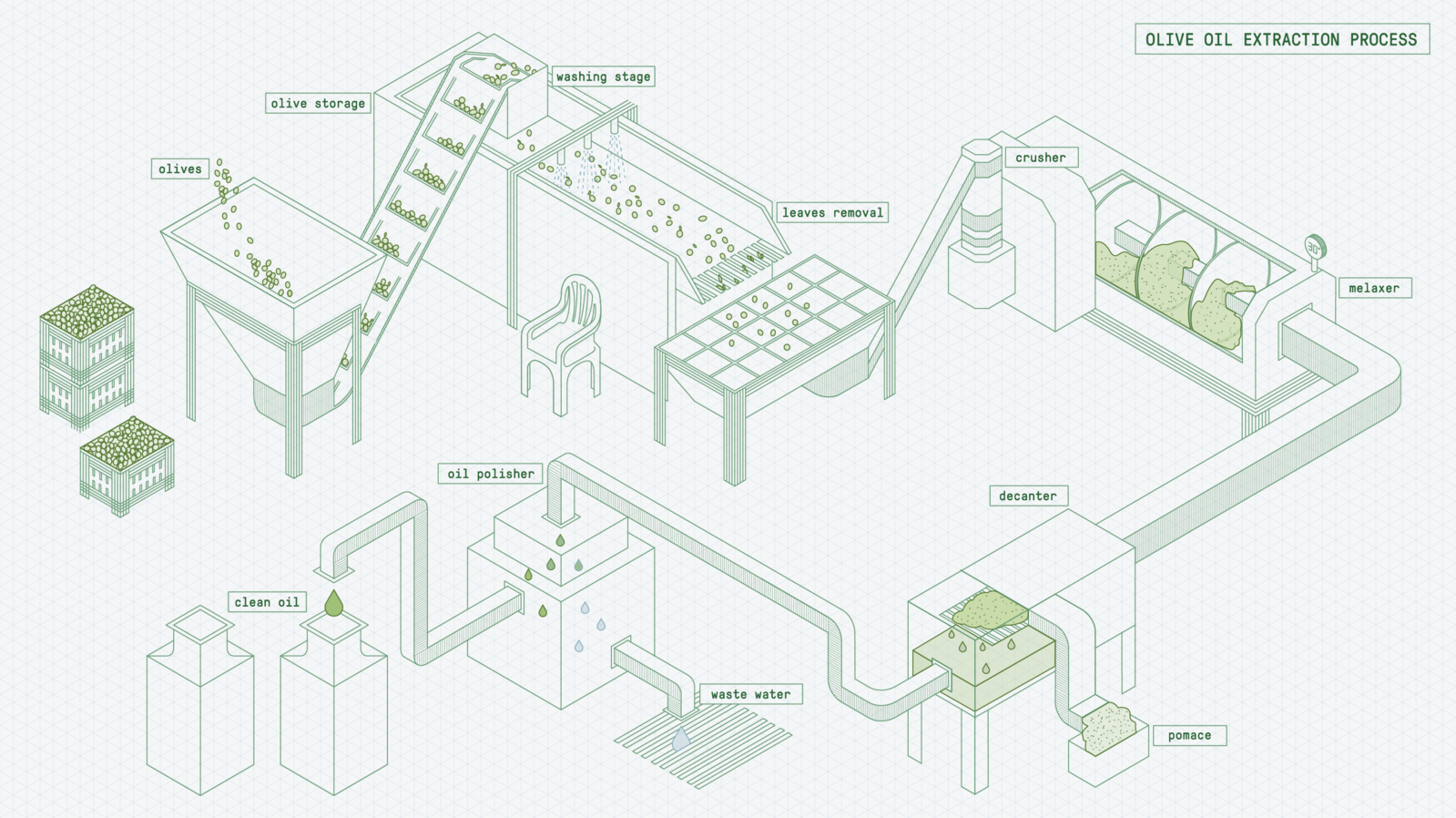 Process washing. Схема производства оливкового масла. The process of Olive Oil Production. Process Olive Oil. Olive Oil Production IELTS.