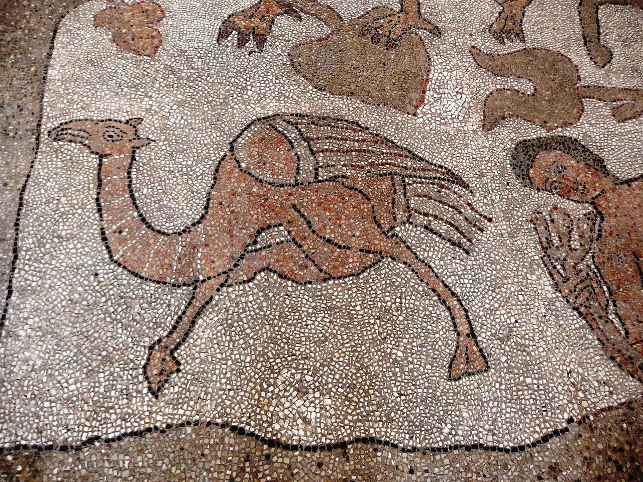 Otranto, cathedral, mosaic 09.jpg