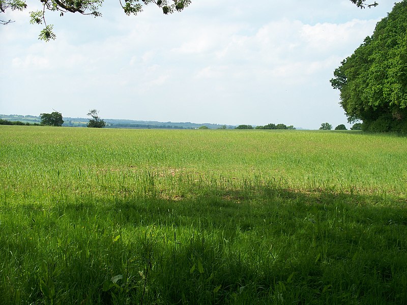 File:Oxfordshire farmland - geograph.org.uk - 1933635.jpg