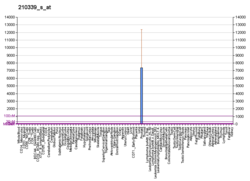 PBB GE KLK2 210339 s в формате fs.png