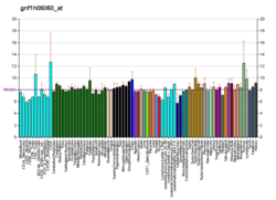 PBB GE USP37 gnf1h06060, fs.png'de