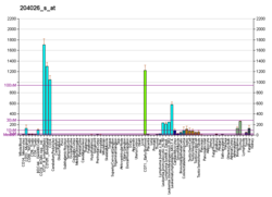 PBB GE ZWINT 204026 s at fs.png