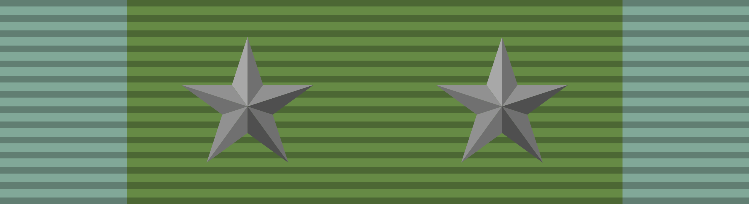 File:Navy and Marine Corps Medal ribbon.svg - Wikipedia