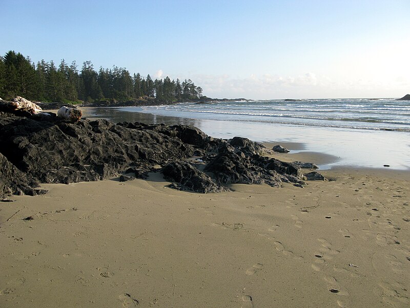 File:Pacific Rim National Park - Wickaninnish Beach (3671539890).jpg