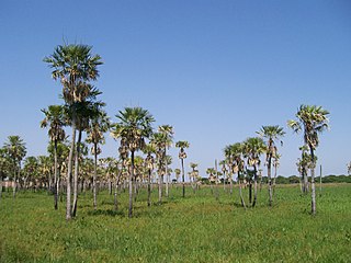 Provincia del Chaco