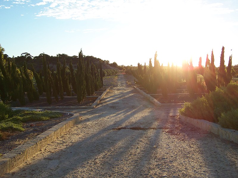 File:Pathway - panoramio (2).jpg