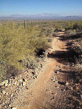 <span class="mw-page-title-main">Javelina Jundred</span> Ultramarathon held in Arizona, USA