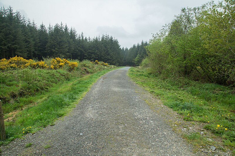 File:Permissive Bridleway - Northcombe Plantation - geograph.org.uk - 4947913.jpg