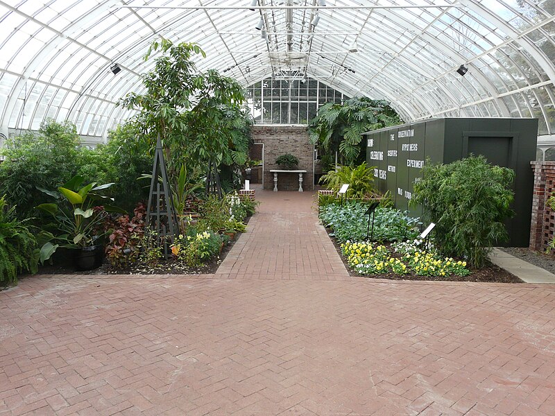 File:Phipps - 162.JPG