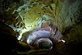 De rivier de Son in het nationaal park Phong Nha-Kẻ Bàng