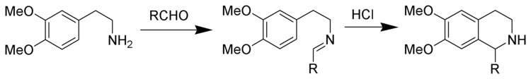 Tetrahydroisoquinoline synthesis