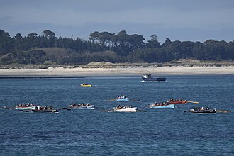 Race underway south of Tresco Pilot gigs in St Mary's Road just south of Tresco.jpg