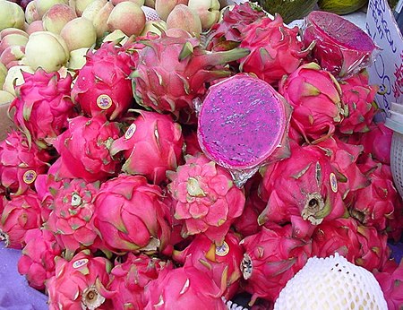 ไฟล์:Pitaya2.jpg