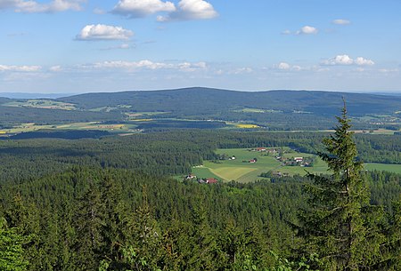 Platte Steinwald