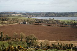 Lough Owel'in kuzey kıyılarındaki Mountmurray kasabasındaki tarlalar