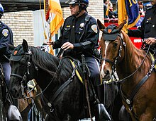 SFPD mounted police officers Police Horse with Giants Hat (8146841565).jpg