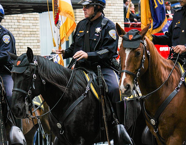 File:Police Horse with Giants Hat (8146841565).jpg