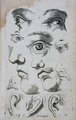 Plate IV (facial features)