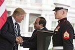 Miniatuur voor Bestand:President Donald Trump &amp; President Abdel Fattah Al Sisi, April 3, 2017.jpg